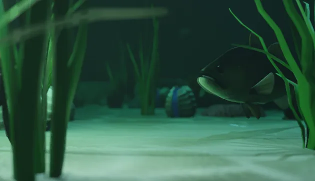 Image du projet du chemin animé en 3D